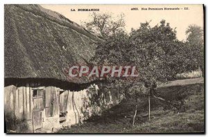 Old Postcard Our Normandy Norman apple