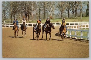 Postcard Lexington KY Kentucky Horse Racing Training Park 1980s View