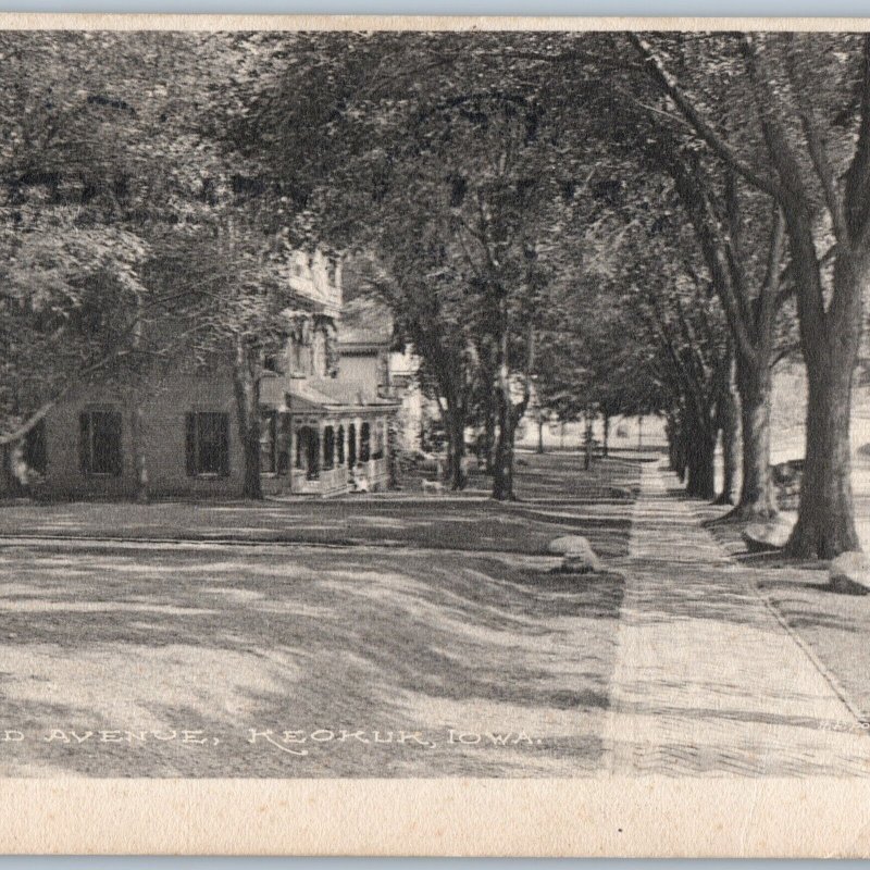 c1900s Keokuk, Iowa Grand Avenue Street View RF Rollins Collotype Photo PC A188