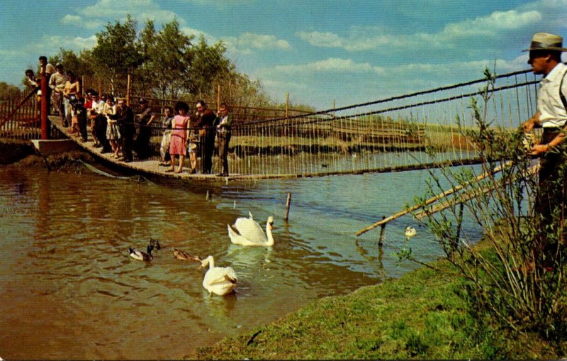 Canada Saskatoon Golden Gate Wild Animal Farm & Bird Park The Swinging Bridge