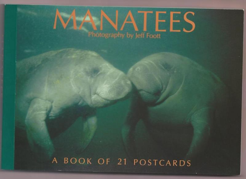 Florida Manatee postcard book