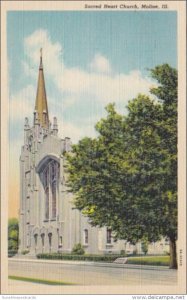 Illinois Moline Sacred Heart Church Curteich