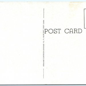 c1910s Oelwein, IA Iowa State Trout Hatchery Backbone State Park Postcard A119