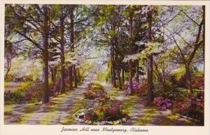 Alabama Montgomery Jasmine Hill Looking Down Pine Vista To The Egyptian Fountain