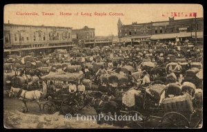 Clarksville - Home of Long Staple Cotton