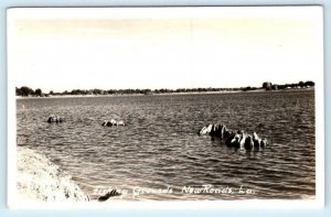 RPPC NEW ROADS, Louisiana LA~ FISHING GROUND Pointe Coupee Parish 1940s Postcard
