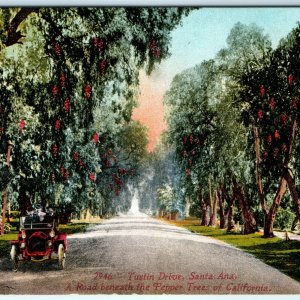 c1910s Santa Ana, Cal. Tustin Drive Early Automobile Postcard Pepper Trees A24