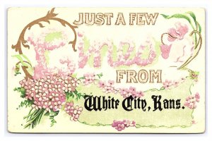 Postcard Just A Few Lines From White City Kans. Kansas c1914 Postmark