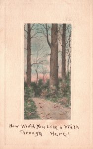 Vintage Postcard 1910'S A Walk Through The Forest Trails Nature Vibe Trees