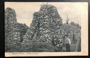 Mint St Miguel Azores Portugal Real picture Postcard Corn awnings