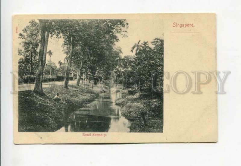 3172159 SINGAPORE Road Scenery Vintage postcard