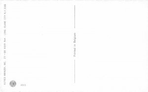 G91/ Dressed Cats Alfred Mainzer Postcard c1940s Greeting Cards Dogs 13