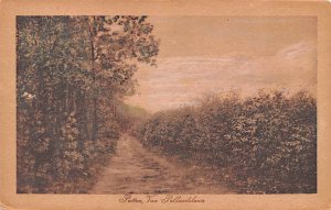 Van Pullandslaun Putten Holland Postal Used Unknown 