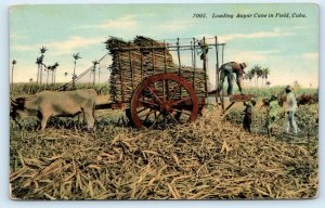 FARMING in CUBA ~ LOADING SUGAR CANE on OX-DRAWN CART c1910s  Postcard