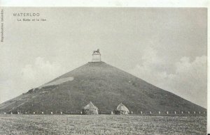 Belgium Postcard - Waterloo - La Butte Et Le Lion - Ref TZ1948