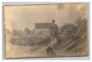 Vintage 1910's RPPC Postcard Pig Farmer in the Pen with his Pigs