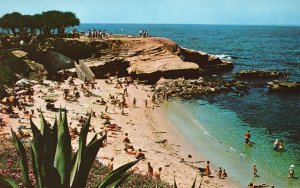 Vintage Postcard La Jolla Cove Diving Surfing Swimming Picnicking California CA