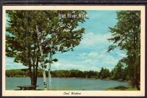 Cool Waters,Iron River,MI BIN