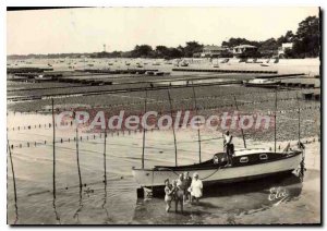 Postcard Modern Cap Ferret Belisaire Parks to Oysters Basically Lighthouse