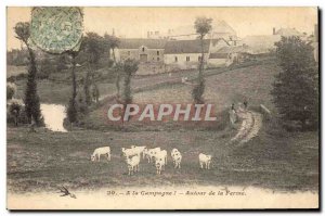 Old Postcard Folklore Around the farm Cows