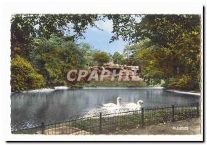 Cambrai Old Postcard Public Garden Lake swans