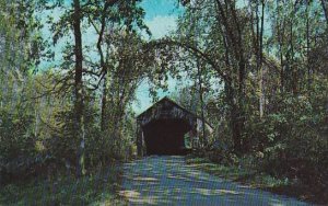 Covered Bridge Old Covered Bridge Barandon Vermont