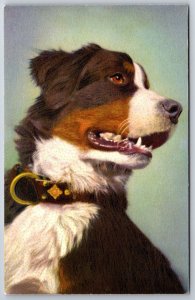 Portrait~Shepherd's Dog~Berger #159~Edition Stehli~Switzerland~1950s