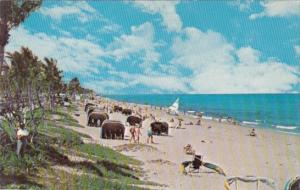 Florida Delray Beach Having Fun At The Beach