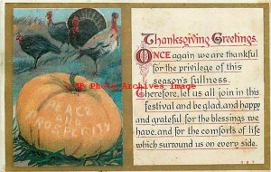 Thanksgiving, Unknown No 727-1, Turkeys & Peace & Prosperity Pumpkin