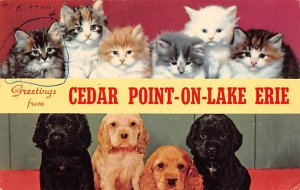 Cedar Point on Lake Erie Cat 