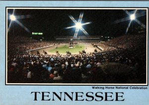 Shelbyville, TN Tennessee  WALKING HORSE NATIONAL CELEBRATION~Night 4X6 Postcard
