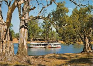 BR99177 paddle steamer on murray river australia ship bateaux