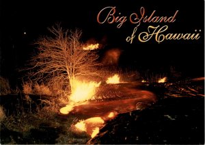 Big Island, Hawaii, Pahoehoe lava, vegetation, Pali Uli, nature, beauty postcard