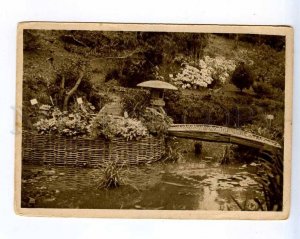 258728 Abkhazia Sukhum Botanical Garden Vintage GIZ postcard