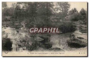 Forest of Fontainebleau Old Postcard Mare pigeon