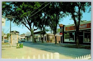 Rexall Drugstore, Business District, Dennisport, Cape Cod MA, Vintage Postcard