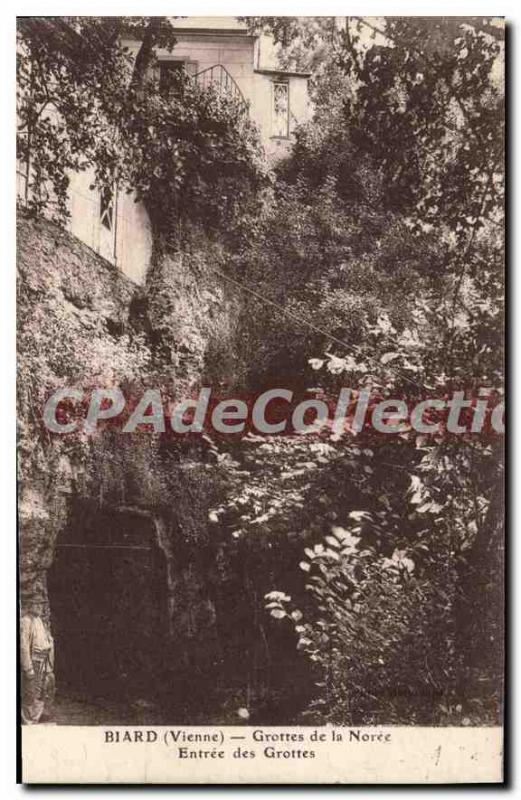 Postcard Old Biard (Vienne) Caves of Noree