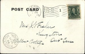 Le Roy NY Old Elm Tree c1905 Postcard