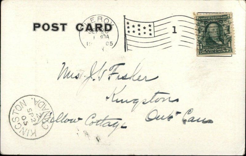 Le Roy NY Old Elm Tree c1905 Postcard