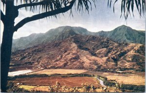 Postcard Hawaii Kauai - Wailua River and Mountains