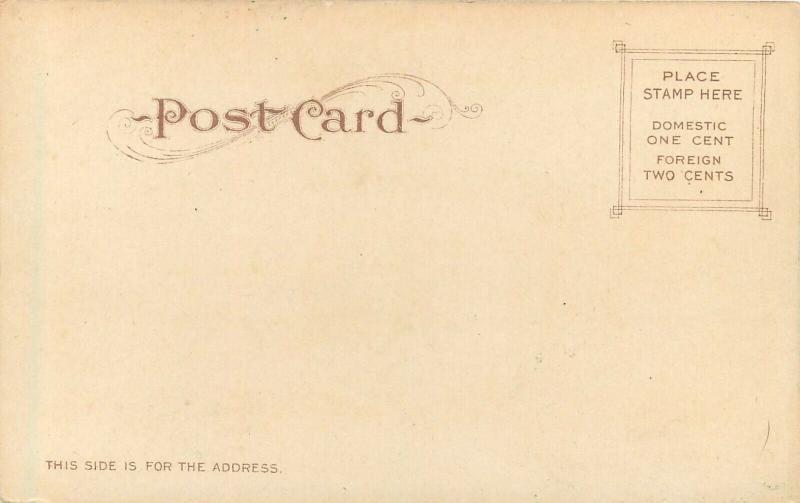 c1906 Chromograph Postcard; Elks' Home, Reno NV Undivided Back unposted Mitchell