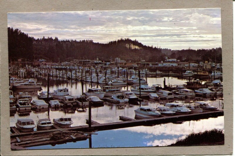  Postcard WA Ilwaco Port Sunset Columbia River Boats Harbor 2644N