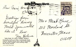 FL - Orlando. Walt Disney World. Cinderella Castle