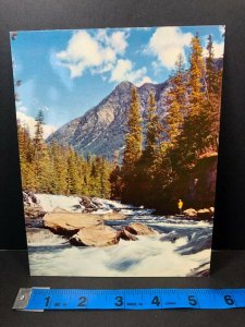 Montana Stream Vintage 1960s Postcard Oversized