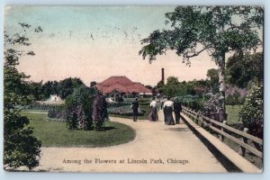 Chicago Illinois IL Postcard Among Flowers Lincoln Park c1908 Vintage Antique