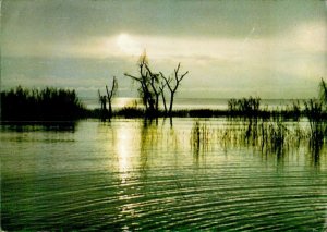 IMN06167 africa burundi landscape lake trees vegetation flora 