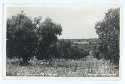 RPPC of Olive Grove, Oroville California CA