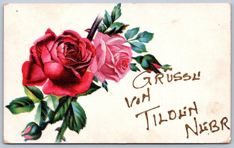 K35/ Tilolin Nebraska Postcard c1910 Glitter Greetings from 511