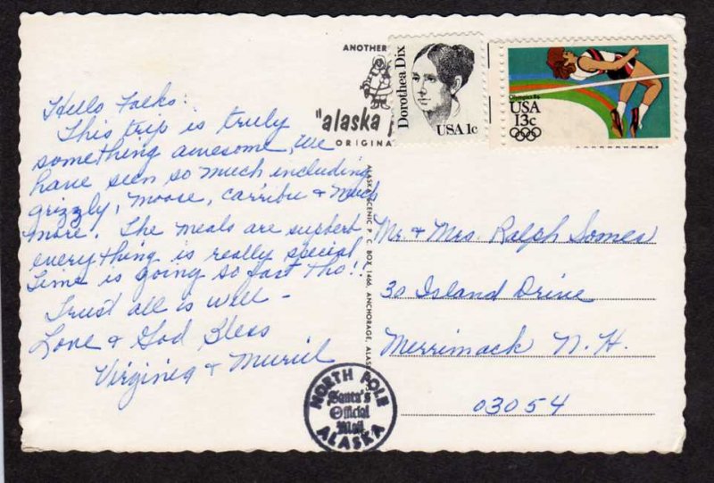 AK Alaska Polar Bear Dog Sled Animals Caribou Postcard