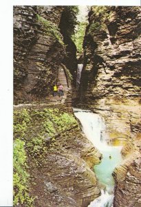 America Postcard - Minnehaha Falls With Cavern Cascade - Watkins Glen N.Y  XX298